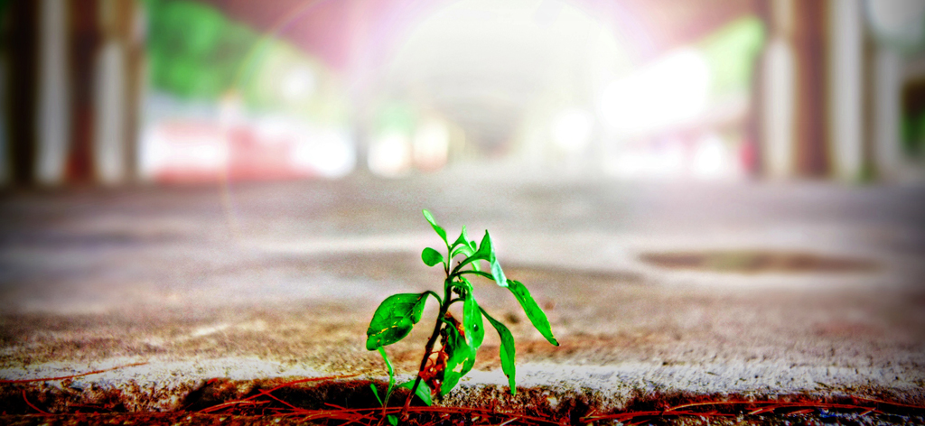 Как сделать продающее видео для бизнеса — принципы, рекомендации, фишки